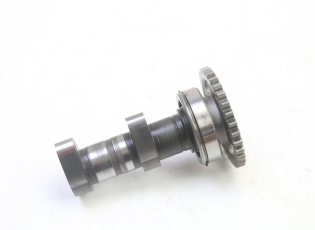 ARBRE CAME ADMISSION