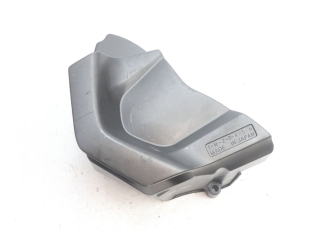 CARTER PIGNON