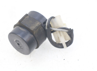 CENTRALE CLIGNOTANTE