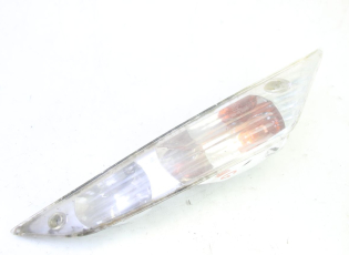 CLIGNOTANT AVANT GAUCHE