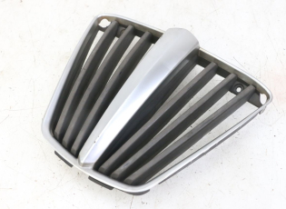 GRILLE RADIATEUR