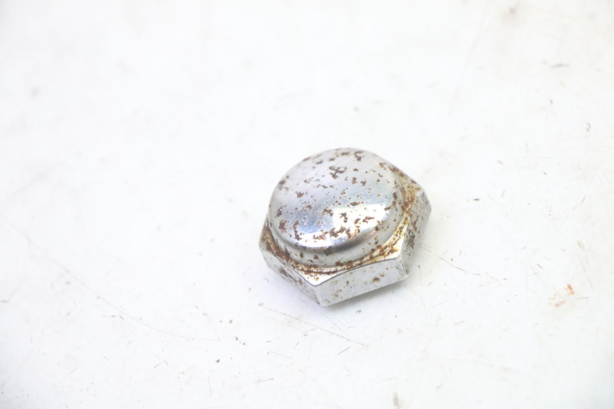 photo de GABELKRONE MUTTER TRIUMPH SPRINT 900 (1995 - 1998) - Hauptansicht