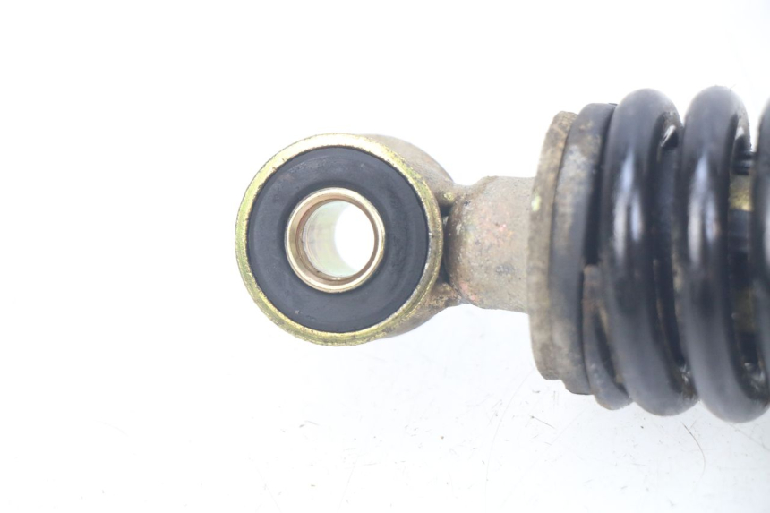 photo de FEDERBEIN TNT MOTOR BOSTON 4T 50 (2018 - 2025) - Zoom auf Gebrauchszustand