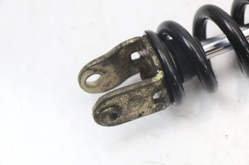 photo de HINTERE FEDERUNG LONGJIA DIGITA 4T 50 (2019 - 2022) - Alternative Perspektive