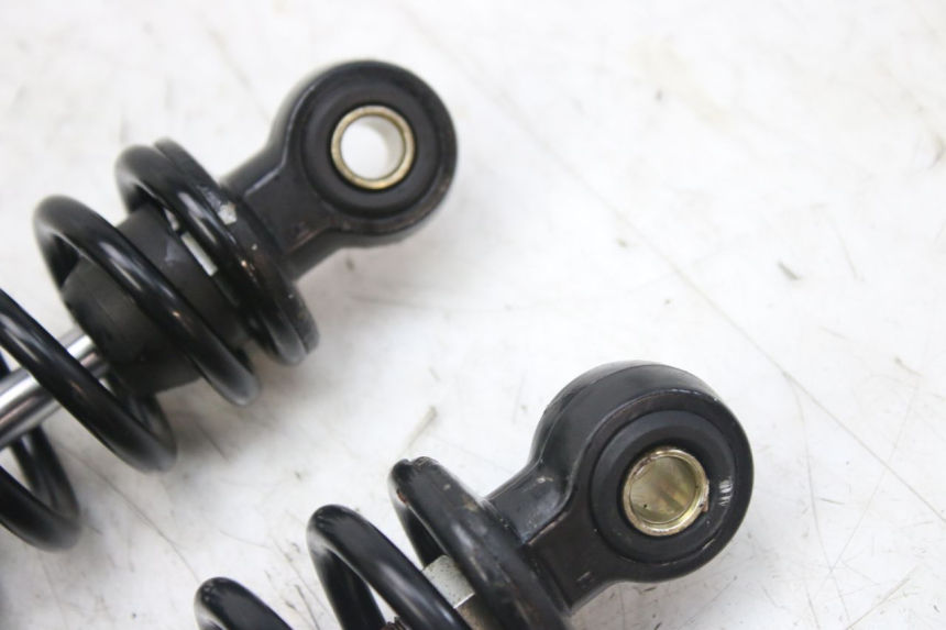 photo de HINTERE FEDERUNG WAYSCRAL E-SPEED 1 (2022 - 2024) - Alternative Perspektive