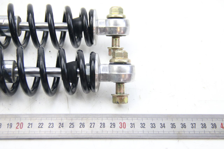 photo de HINTERER STOßDäMPFER EFUN E2GO 1 (2017 - 2021) - Technische Nahaufnahme