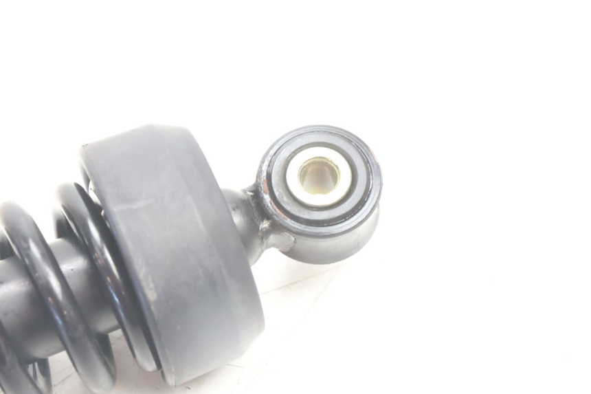 photo de FEDERBEIN ASKOLL ESPRO 1 - Alternative Perspektive