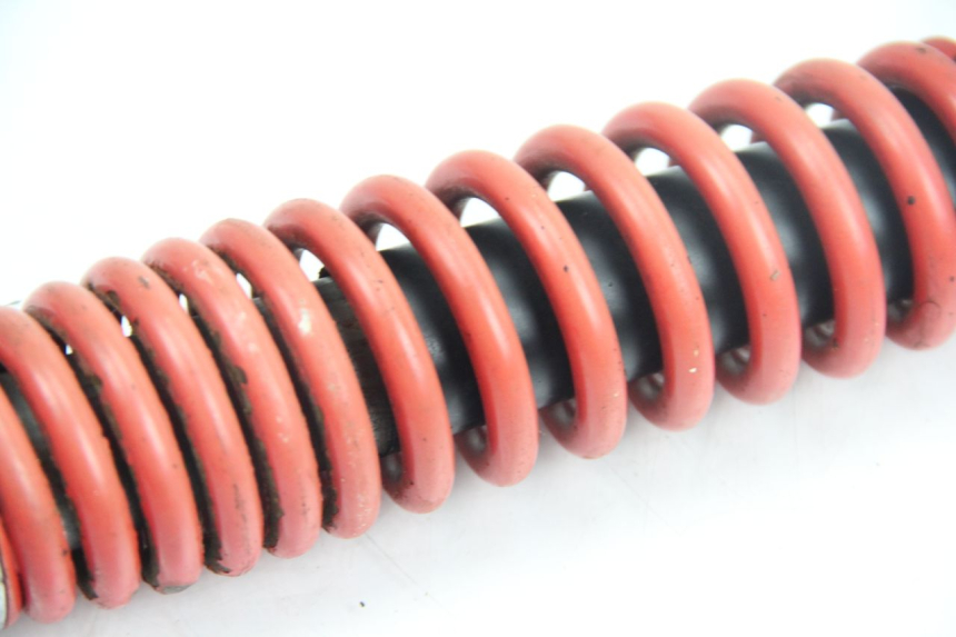 photo de FEDERBEIN JM MOTORS F45i 4T 50 (2020 - 2023) - Alternative Perspektive