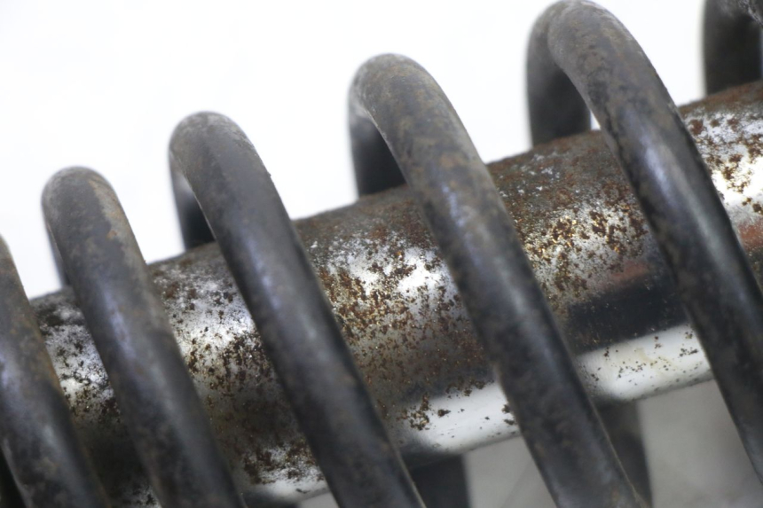 photo de HINTERE FEDERUNG SYM FIDDLE 3 III 125 (2014 - 2020) - Gesamtansicht des Produkts