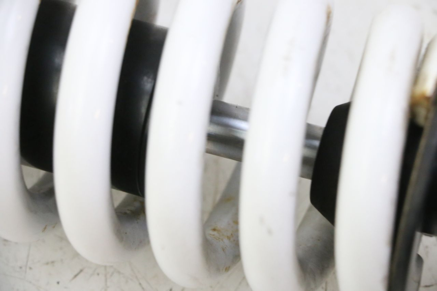 photo de FEDERBEIN BMW G310 R 310 (2016 - 2020) - Geprüftes Gebrauchtteil