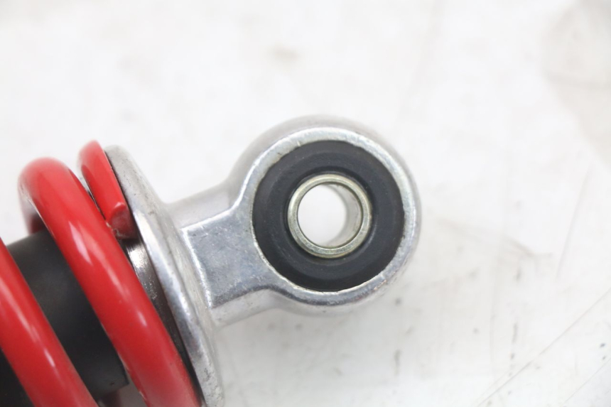 photo de FEDERBEIN MASH LEGEND'R 4T 50 (2021 - 2025) - Alternative Perspektive