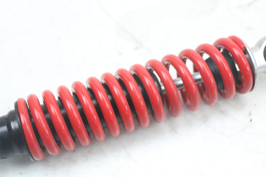 photo de FEDERBEIN MASH LEGEND'R 4T 50 (2021 - 2025) - Details der Befestigungspunkte