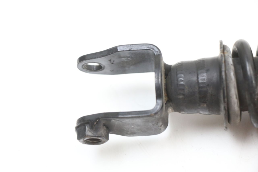 photo de HINTERER STOßDäMPFER PIAGGIO NEW TYPHOON 50 (2018 - 2021) - Alternative Perspektive