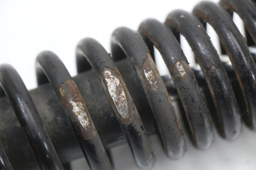 photo de HINTERER STOßDäMPFER PIAGGIO NEW TYPHOON 50 (2018 - 2021) - Gesamtansicht des Produkts