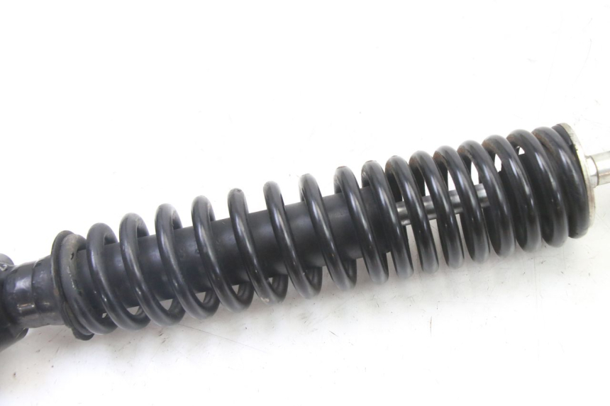 photo de HINTERER STOßDäMPFER PIAGGIO NEW TYPHOON 50 (2018 - 2021) - Alternative Perspektive