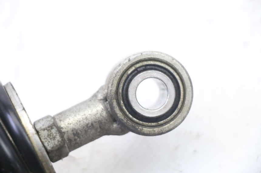 photo de HINTERER STOßDäMPFER PIAGGIO NEW TYPHOON 50 (2018 - 2021) - Alternative Perspektive