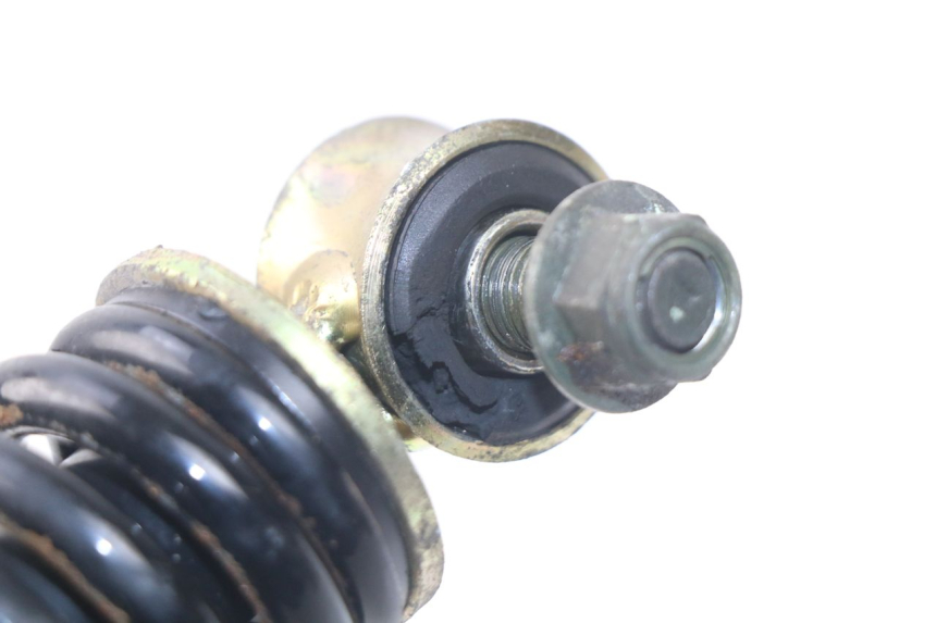 photo de HINTERE FEDERUNG JM MOTORS OLDIES 4T 50 (2010 - 2020) - Alternative Perspektive