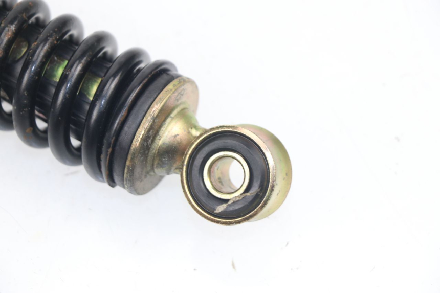 photo de FEDERBEIN JM MOTORS OLDIES GT 4T 50 (2010 - 2017) - Technische Nahaufnahme