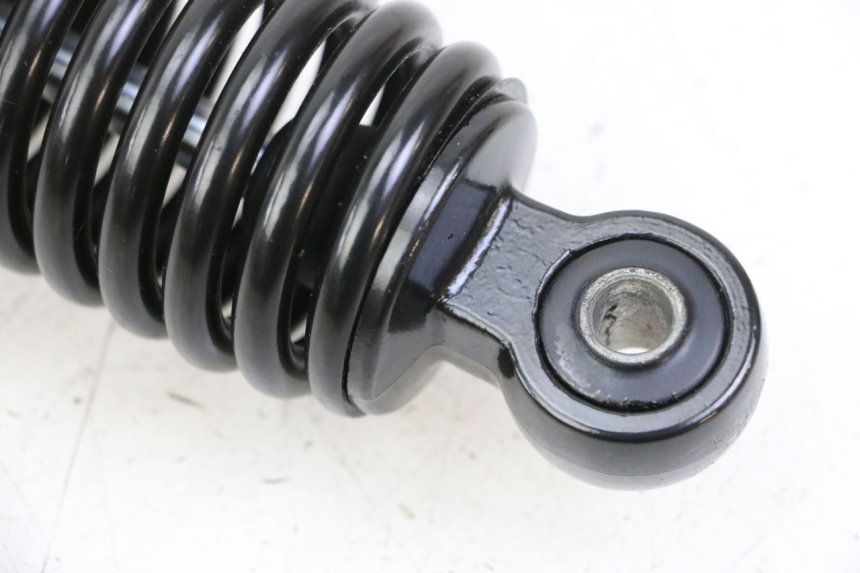 photo de FEDERBEIN PEUGEOT TWEET 4T 50 (2023 - 2025) - Gesamtansicht des Produkts