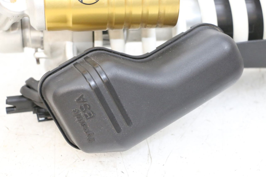 photo de FEDERBEIN BMW R GS 1250 (2021 - 2024) - Profilansicht des Ersatzteils