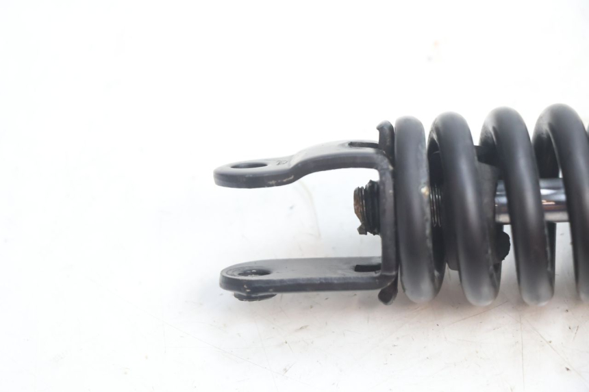 photo de FEDERBEIN TNT MOTOR ROMA 10' 2T 50 (2011 - 2018) - Detailansicht des Bauteils