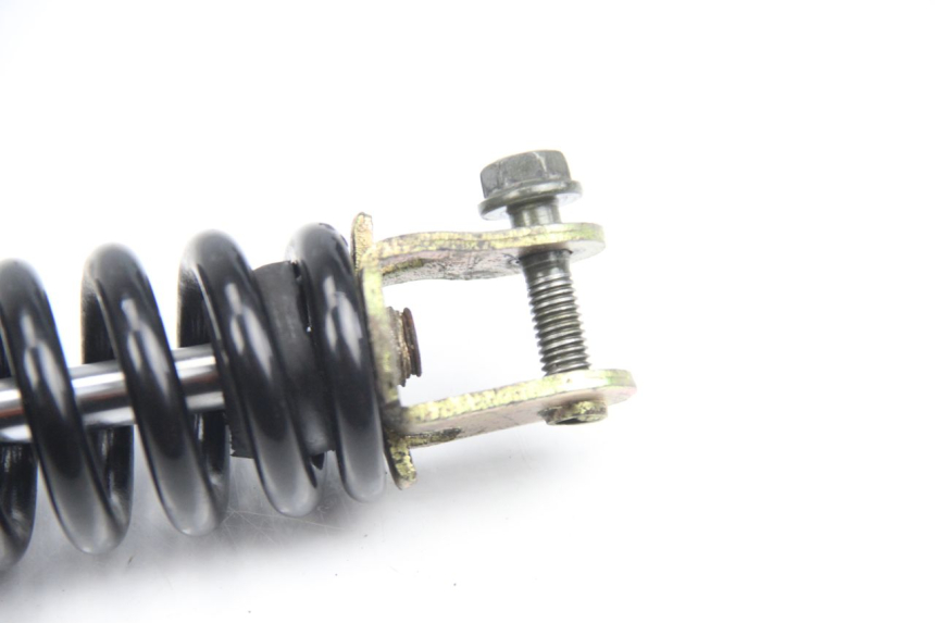 photo de FEDERBEIN TNT MOTOR ROMA 10' 4T 50 (2007 - 2018) - Zoom auf Gebrauchszustand