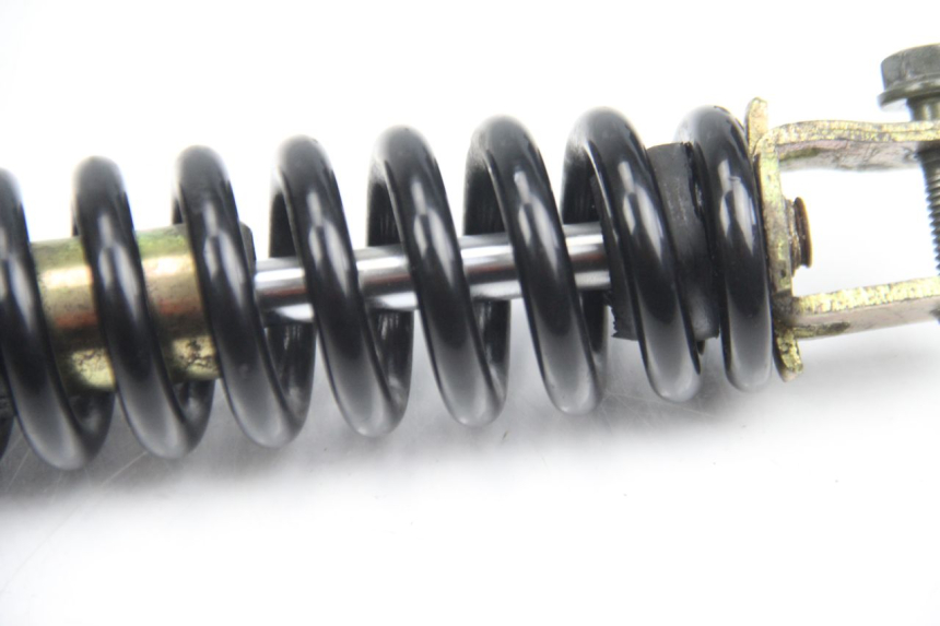 photo de FEDERBEIN TNT MOTOR ROMA 10' 4T 50 (2007 - 2018) - Alternative Perspektive