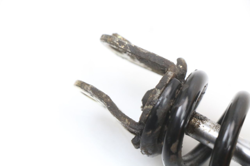 photo de HINTERE FEDERUNG TNT MOTOR ROMA 10' 4T 50 (2019 - 2022) - Alternative Perspektive