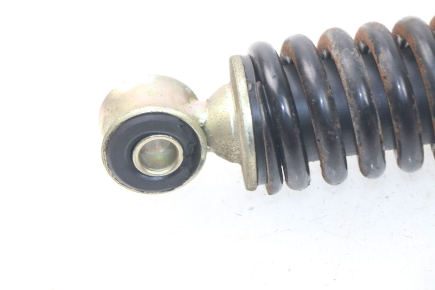 photo de HINTERE FEDERUNG JM MOTORS SC 4T 50 (2012 - 2017) - Alternative Perspektive