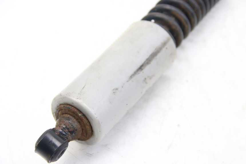 photo de HINTERE FEDERUNG APRILIA SCARABEO 4T 50 (2009 - 2017) - Alternative Perspektive