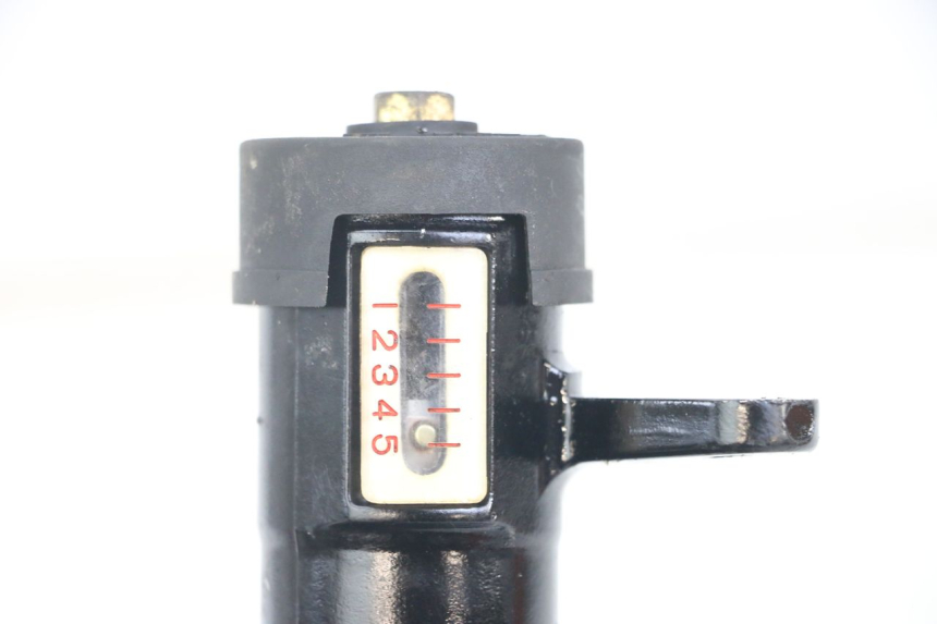 photo de HINTERE FEDERUNG TRIUMPH SPEED TRIPLE T301 900 (1994 - 1996) - Alternative Perspektive