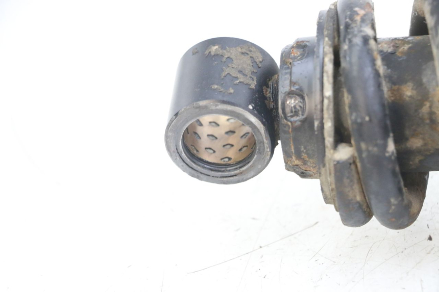 photo de HINTERE FEDERUNG TRIUMPH SPEED TRIPLE T301 900 (1994 - 1996) - Technische Nahaufnahme