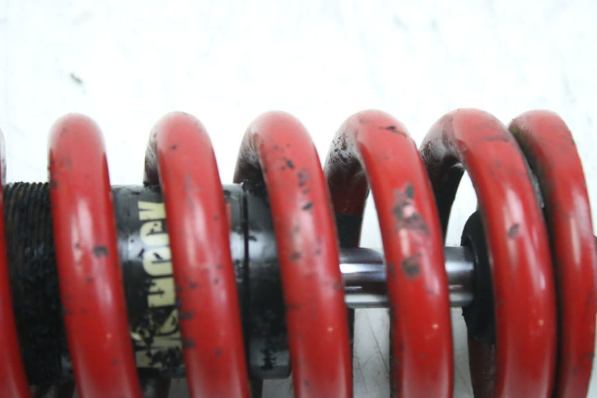 photo de HINTERE FEDERUNG TRIUMPH SPRINT ST 955 (1999 - 2001) - Technische Nahaufnahme