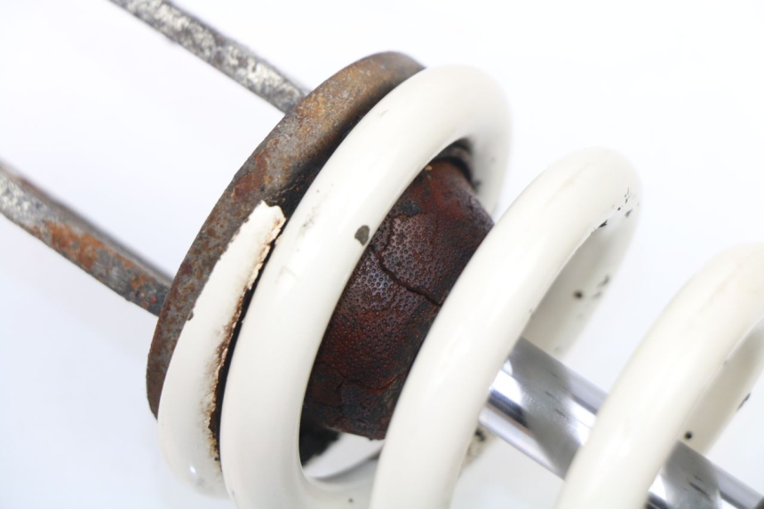 photo de FEDERBEIN SUZUKI SV S 650 (2003 - 2009) - Zoom auf Gebrauchszustand