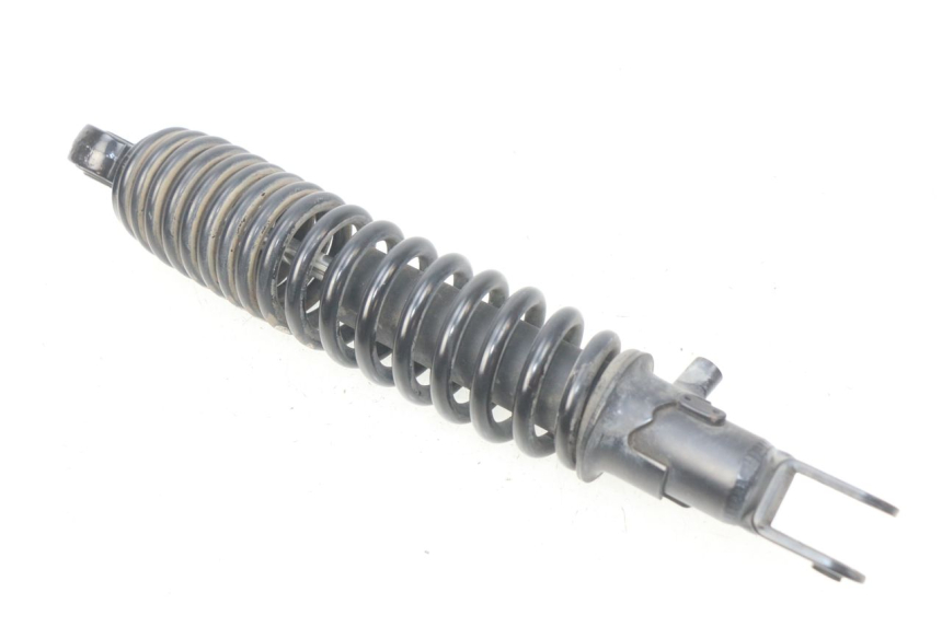 photo de FEDERBEIN PEUGEOT TWEET 4T 50 (2018 - 2022) - Alternative Perspektive