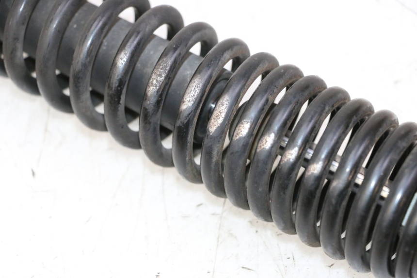 photo de FEDERBEIN PEUGEOT TWEET PRO CARGO 50 (2018 - 2022) - Gesamtansicht des Produkts