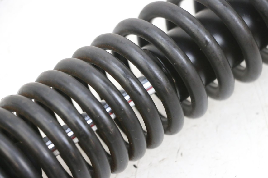 photo de FEDERBEIN PEUGEOT TWEET PRO EFI 4T 50 (2021 - 2022) - Alternative Perspektive