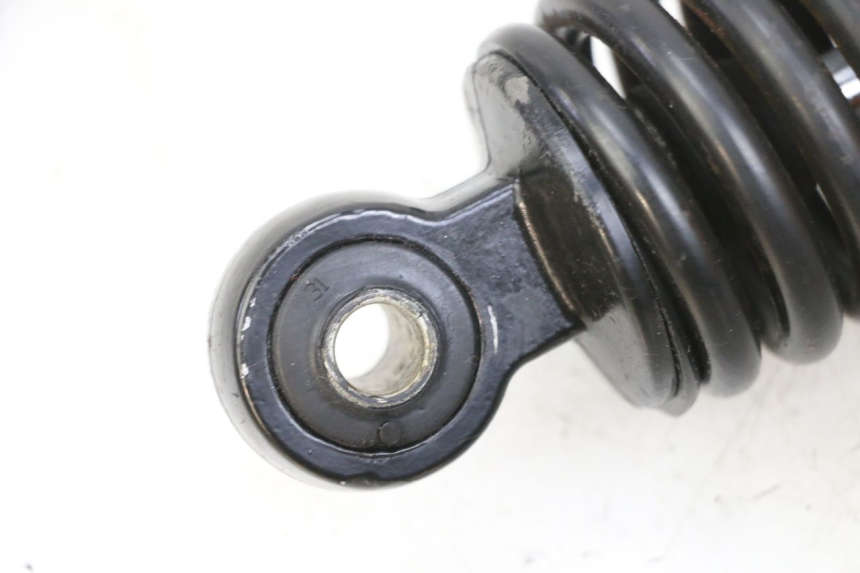 photo de FEDERBEIN PEUGEOT TWEET PRO EFI 4T 50 (2021 - 2022) - Technische Nahaufnahme