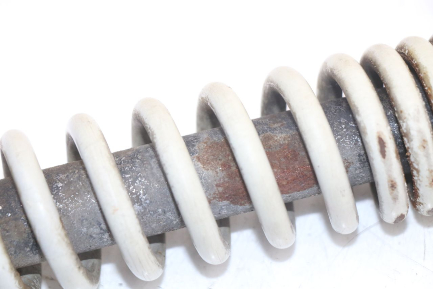 photo de FEDERBEIN PIAGGIO TYPHOON 50 (2000 - 2009) - Gesamtansicht des Produkts