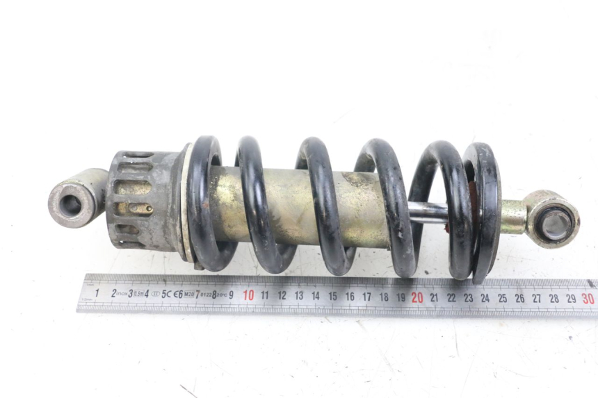 photo de FEDERBEIN YAMAHA XJS DIVERSION 600 (1997 - 1999) - Zoom auf Gebrauchszustand