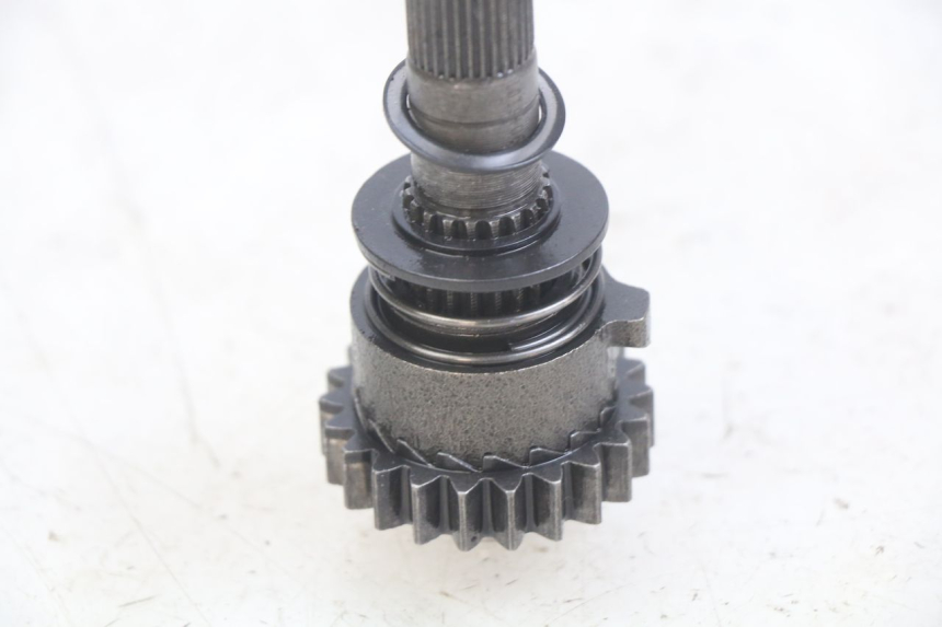 photo de KICKSTARTERWELLE APOLLO DIRT BIKE 125 (2010 - 2018) - Alternative Perspektive