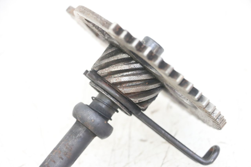 photo de KICKSTARTERWELLE GOES WIKI 125 (2010 - 2015) - Alternative Perspektive