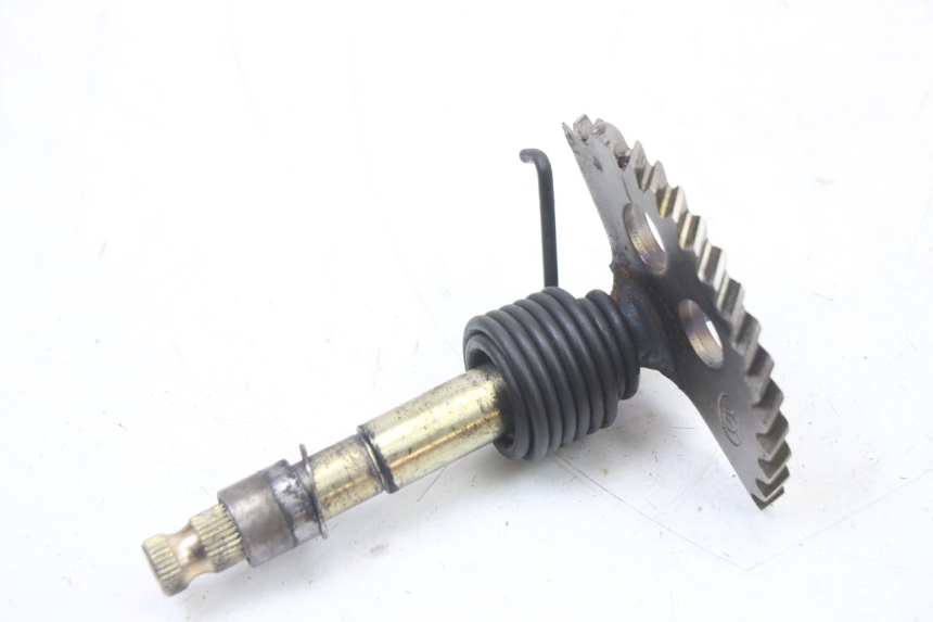 photo de KICKSTARTERWELLE LONGJIA SHARPY 125 (2020 - 2024) - Technische Nahaufnahme