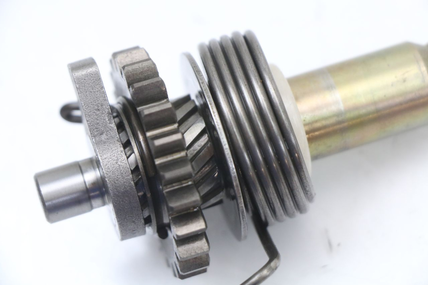 photo de KICKSTARTERWELLE ASTOR ORCAL 125 (2015 - 2017) - Alternative Perspektive