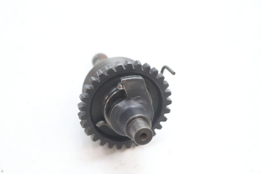 photo de KICKSTARTERWELLE DERBI SENDA 50 (2003 - 2005) - Technische Nahaufnahme