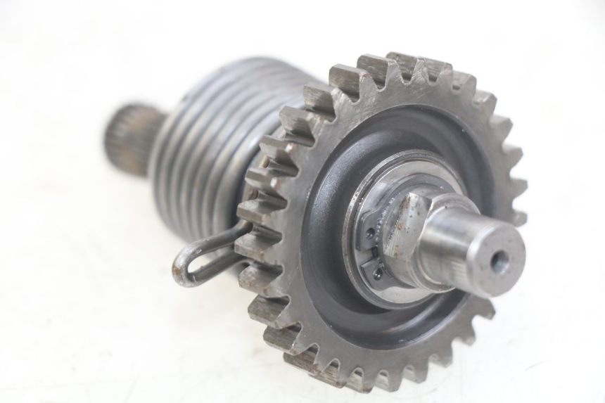 photo de KICKSTARTERWELLE GAS-GAS SM ROOKIE 50 (2001 - 2005) - Alternative Perspektive