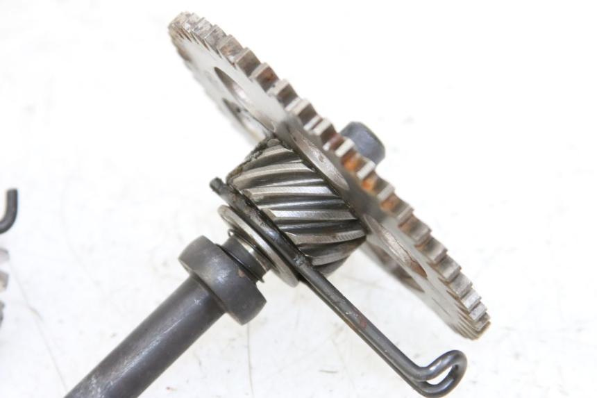 photo de KICKSTARTERWELLE RAZZO STEED 125 (2012 - 2018) - Zoom auf Gebrauchszustand