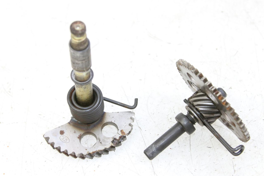 photo de KICKSTARTERWELLE RAZZO STEED 125 (2012 - 2018) - Alternative Perspektive