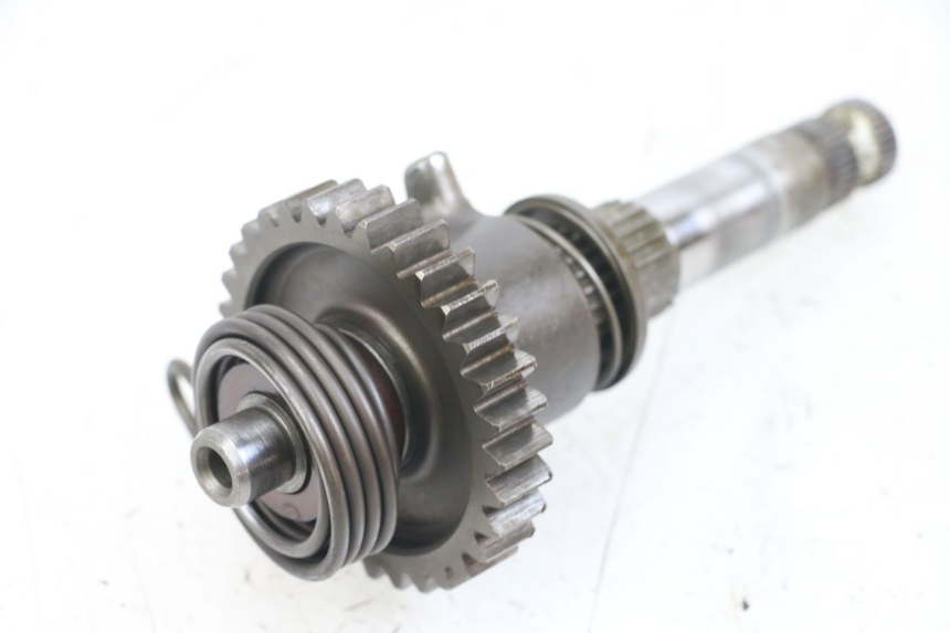 photo de KICKWELLE HONDA TRX 300 (1988 - 2000) - Zoom auf Gebrauchszustand