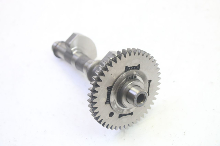 photo de MOTORHALTER SUZUKI BURGMAN EXECUTIVE ABS 650 (2006 - 2012) - Gesamtansicht des Produkts